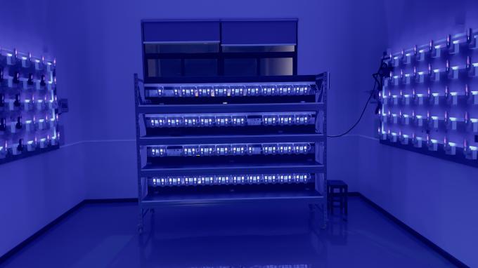 Eletrônico de fluxo de ar mosquito-assassino interior luz UV LED armadilha de insetos voadores com cabo USB 480 horas 12