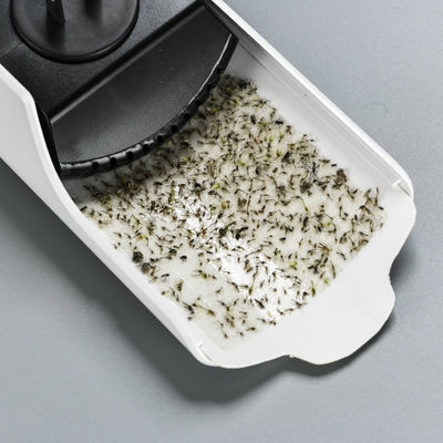 Bom preço. Lâmpada de mosquito com almofada de cola e fonte de energia elétrica on-line